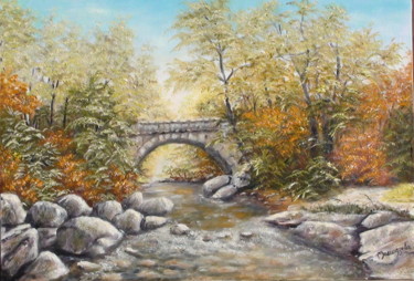 N°322 RUISSEAU DE LA CONNES A PONTEILS