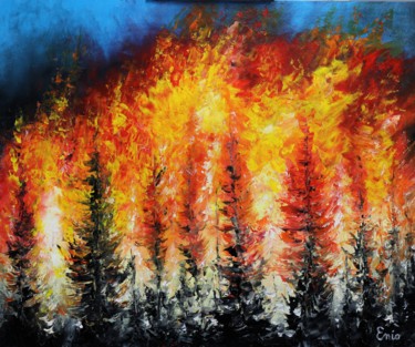 n-333-incendie-en-cevennes.jpg