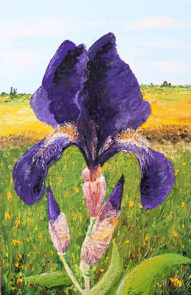 N°352 IRIS VIOLET