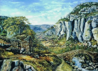 N°221 PAYSAGE DES CAUSSES