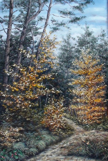 FORET CEVENOLE