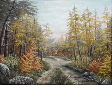 N°296 LES MÉLÈZES DU MAS DE L'AIR