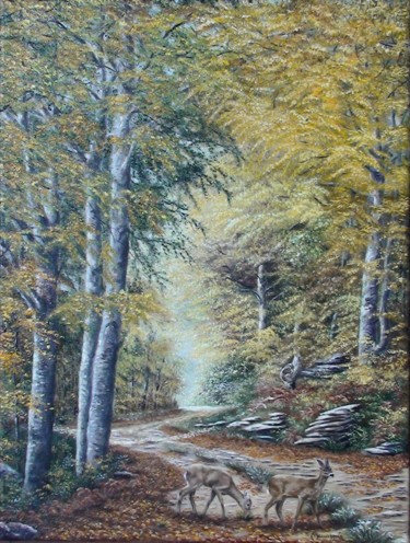 N°297LES FAYARDS DU CHEMIN DES VANS