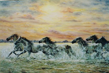 086-chevaux-en-camargue-25m.jpg