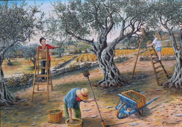 N°315 CUEILLETTE DES OLIVES